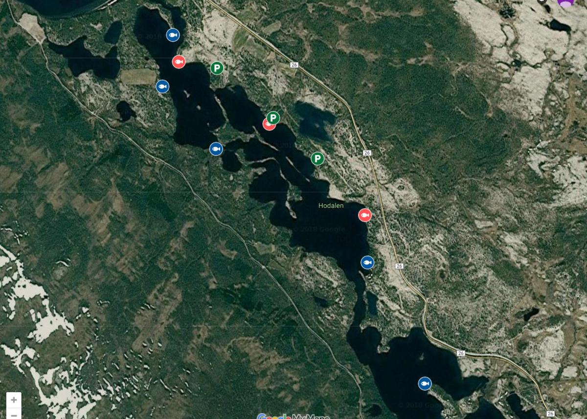 Sektor C - Stikkelen